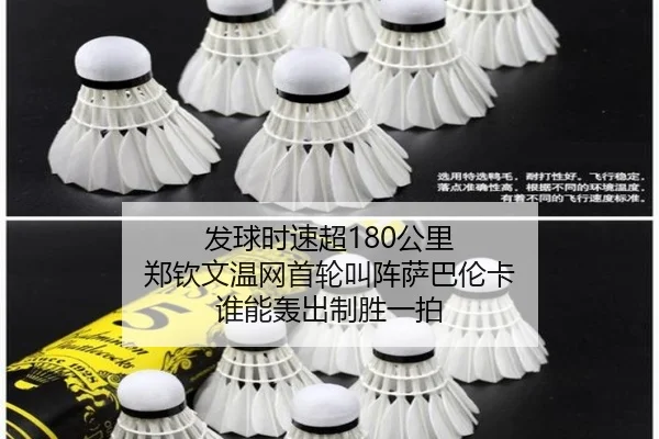 fa-qiu-shi-su-chao-gong-li-zheng-qin-wen-wen-wang-shou-lun-jiao-zhen-sa-ba-lun-ka-shui-neng-hong-chu-zhi-sheng-yi-pai-2-318.jpg