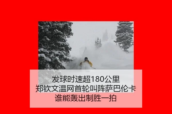 发球时速超180公里 郑钦文温网首轮叫阵萨巴伦卡 谁能轰出制胜一拍